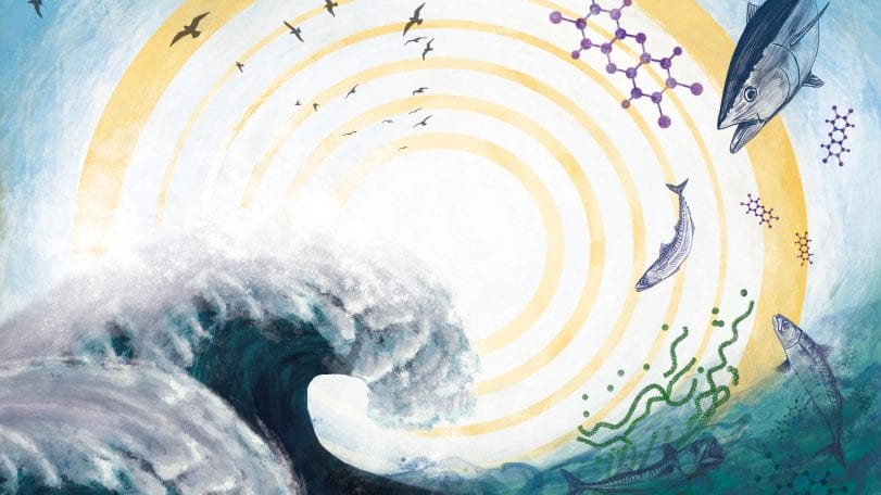 Sea of Hazards