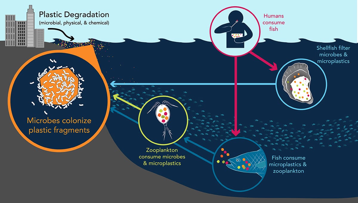 microplastics