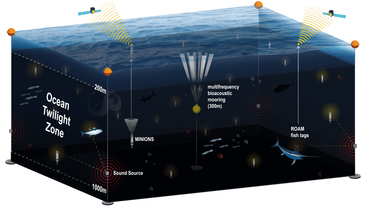 Newswise: New observation network will provide unprecedented, long-term view of life in the ocean twilight zone