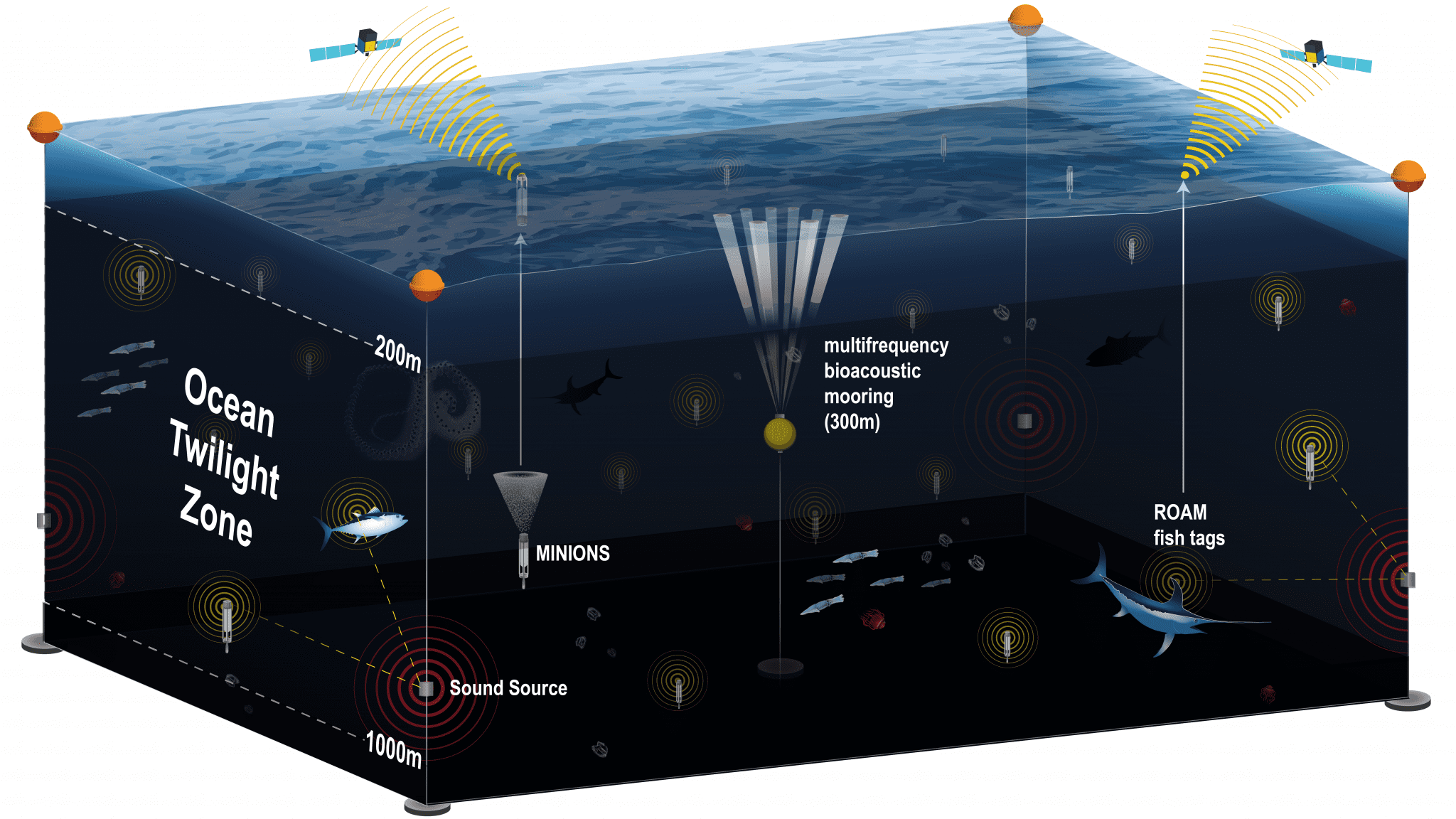 New observation network will provide unprecedented, long-term view of life in the ocean twilight zone