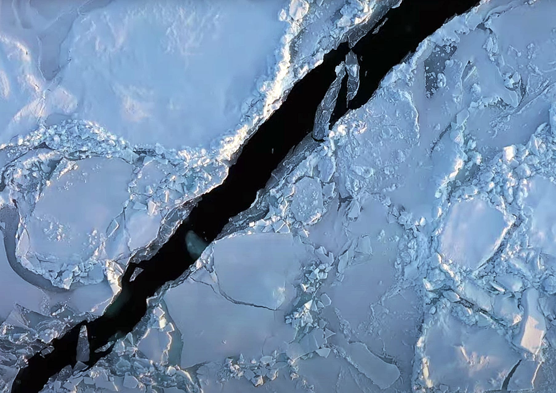 oceanworlds_video3 oceanworlds_video3
