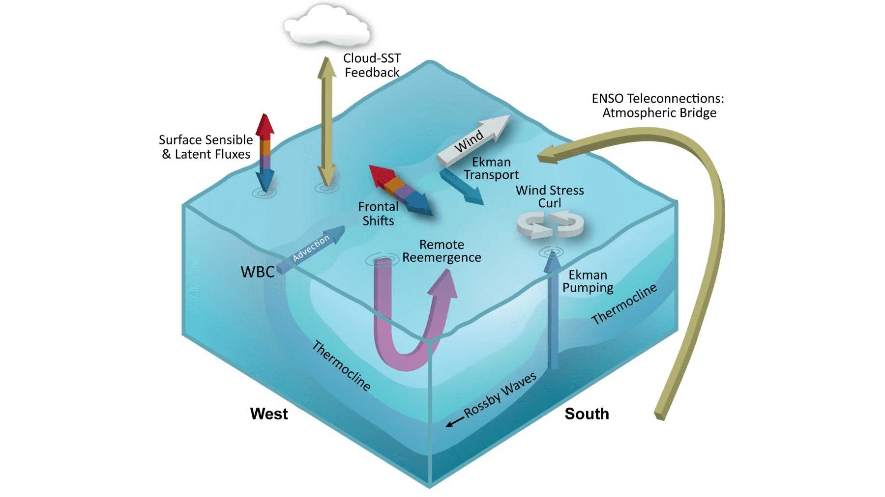 Kwon Lab