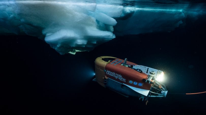 neried under ice