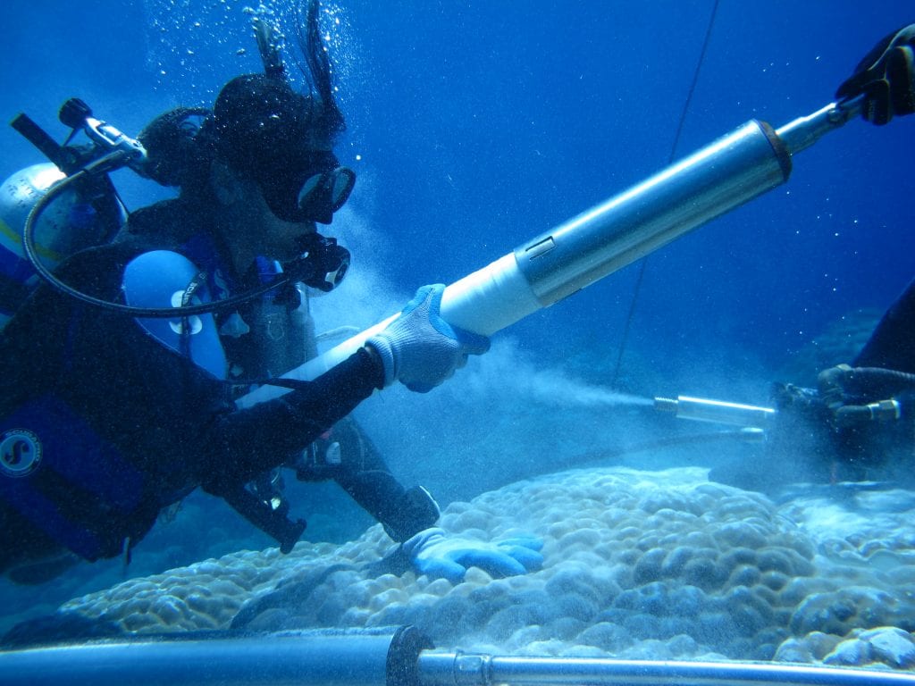 Co-author Sujata Murty retrieving a coral core piece during the underwater drilling process.
Photo credit: Justin Ossolinski.