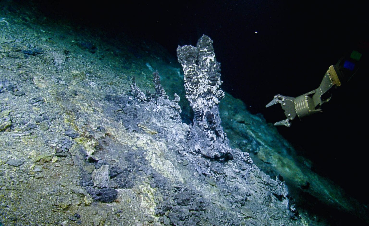 Newswise: Study Examines the Role of Deep-Sea Microbial Predators at Hydrothermal Vents
