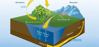 The worlds river systems sequester atmospheric carbon dioxide by transporting decaying organic material from land to the ocean. Although river transport of carbon to the ocean is not large enough to bail humans out of our global warming problem, knowing how much carbon rivers transport is important part of understanding the global carbon cycle that regulates Earth's climate. Scientists from WHOI recently calculated the first direct estimate of how much and in what form organic carbon is exported to the ocean by rivers. (Illustration by Eric S. Taylor, WHOI Creative © Woods Hole Oceanographic Institution)