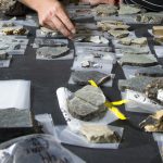 Seafloor Sediments Data Collection