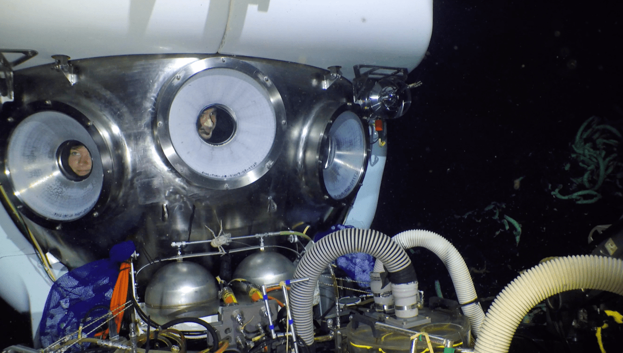 MIT-WHOI Joint Program student Lauren Dykman looks out on hydrothermal life with pilot Bruce Strickrott, on her first dive in HOV <em>Alvin</em>, December 2019. (Photo courtesy of NDSF, © Woods Hole Oceanographic Institution)