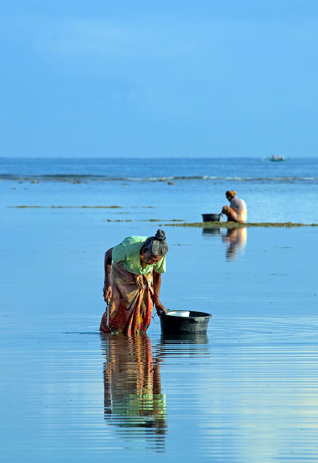 Women collecting shellfish in Lombok, Indonesia. (Photo by A. David South © Alamy)