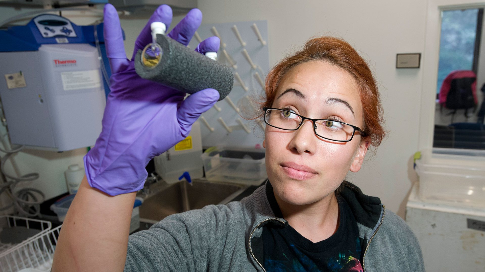 Alterra Sanchez, a 2013 Summer Student Fellow from San Diego State University, readies an optical cell for making pH measurements in a high-precision spectrophotometer. The cell contains a pH indicator and seawater from a local marsh.