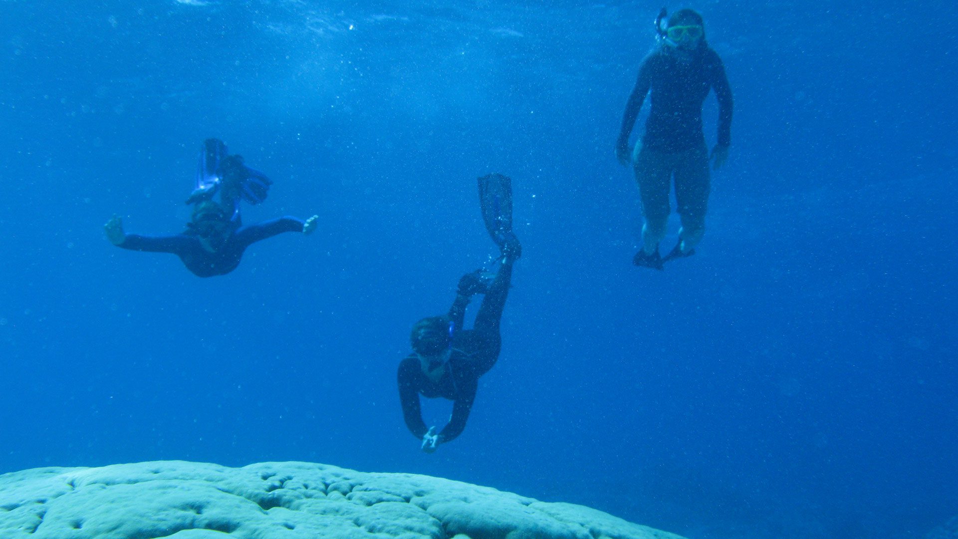 diving over coral