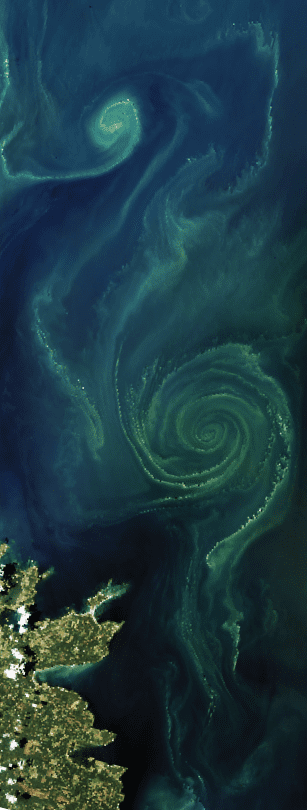 A green phytoplankton bloom swirls across a section of the Baltic Sea in July 2018. (Image by Joshua Stevens and Lauren Dauphin, NASA Earth Observatory, using Landsat data from the U.S. Geological Survey and MODIS data from LANCE/EOSDIS Rapid Response)