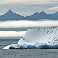 Iceberg
