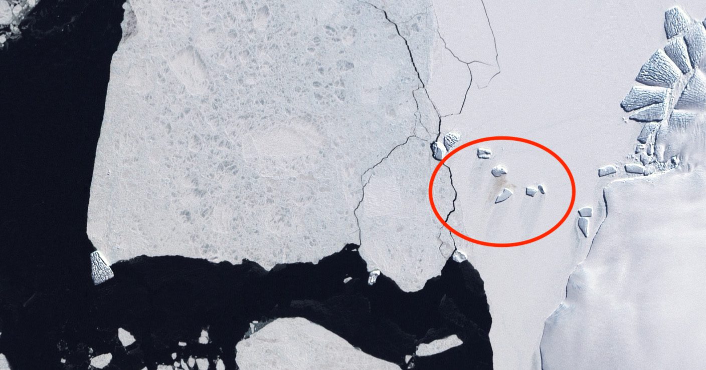 In this true-color image of Antarctica’s Luitpold Coast, acquired in 2002, by NASA’s Landsat 7 satellite, British Antarctic Survey (BAS) discovered a new way to estimate the size and location of penguin colonies. The circled section is stained a tell-tale brown from penguin guano. (NASA image by Robert Simmon, based on Landsat 7 data from the USGS Global Visualization Viewer.)