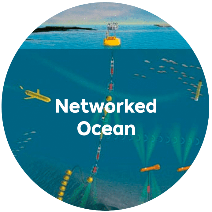 network network