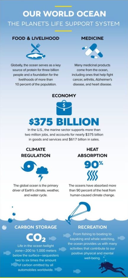 Ocean Bounty Infographic