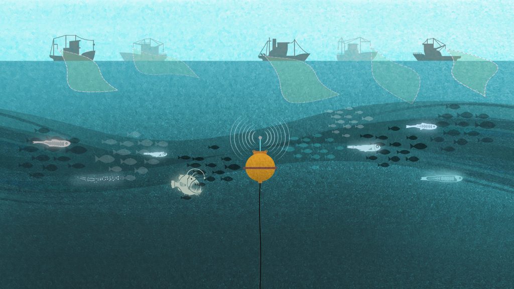 A bioacoustic mooring sits in the middle of the ocean twilight zone (not to scale), while prospective commercial fishing vessels work on the surface. (Illustration by John Hentz, © Woods Hole Oceanographic Institution)