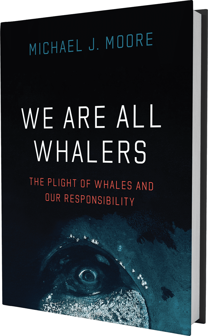 We-are-all-Whalers-no-shadow
