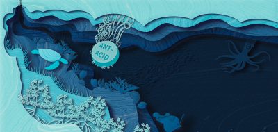 an ocean of opportunity