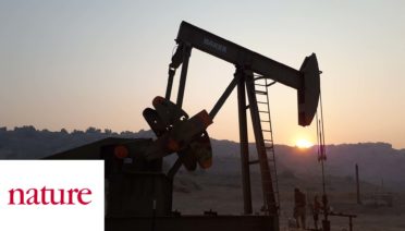 nature article image