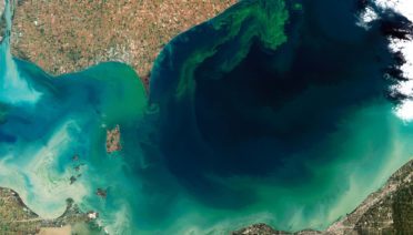 Toxic_Algae_Bloom_in_Lake_Erie