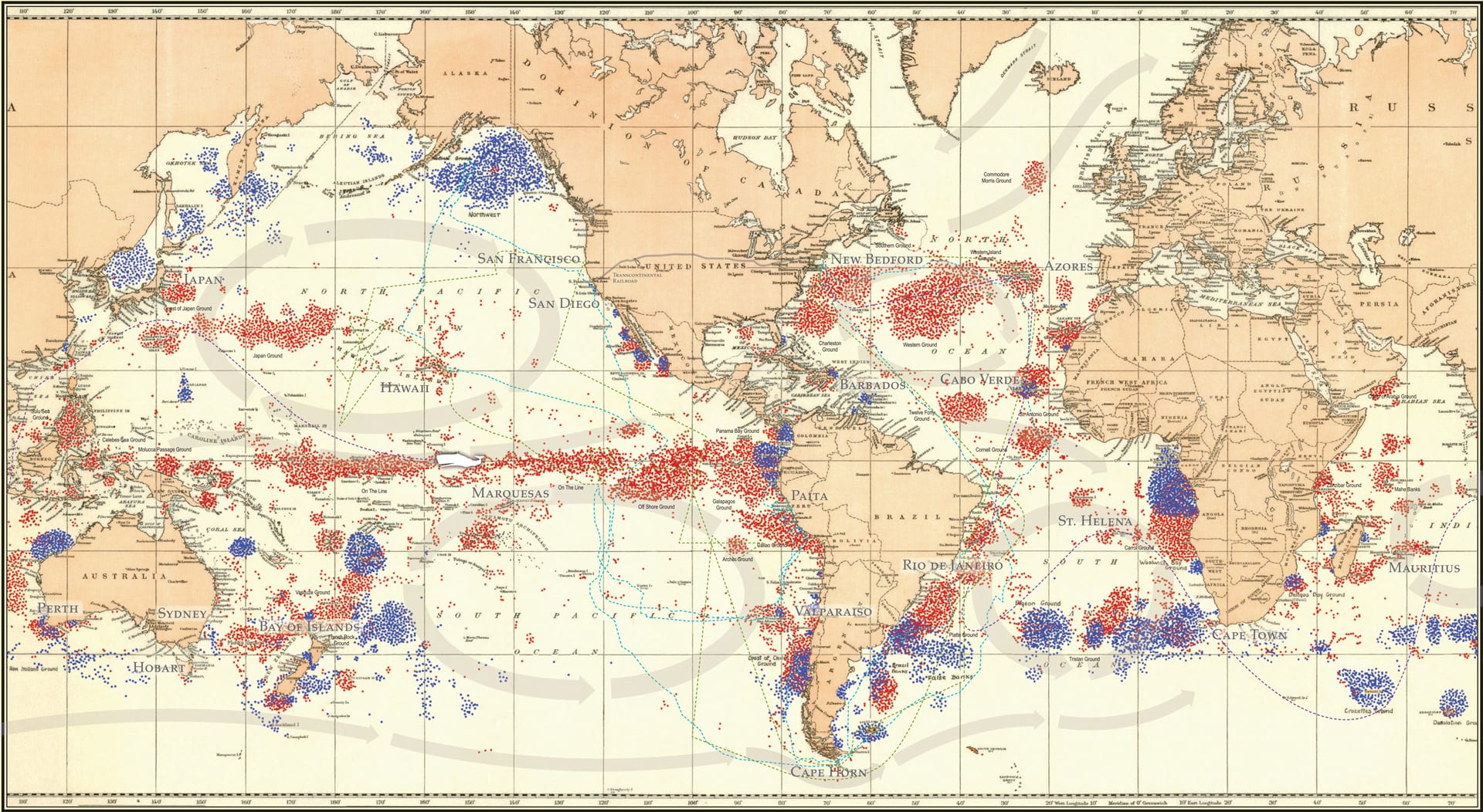 Whalers from New England covered a wide span of the globe, often traveling to remote locations that merchant and military vessels didn’t venture to. This composite whaling map, collated from four original maps prepared under the direction of Charles Haskins Townsend, shows the historical distribution of various types of whales taken by New England/American whaling ships between 1785-1913. Each color represents the position of a ship on a day when one or more whales were taken. (Image courtesy of the New Bedford Whaling Museum)
