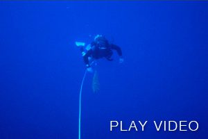 blue water diving