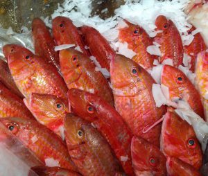 Red mullet fish at market