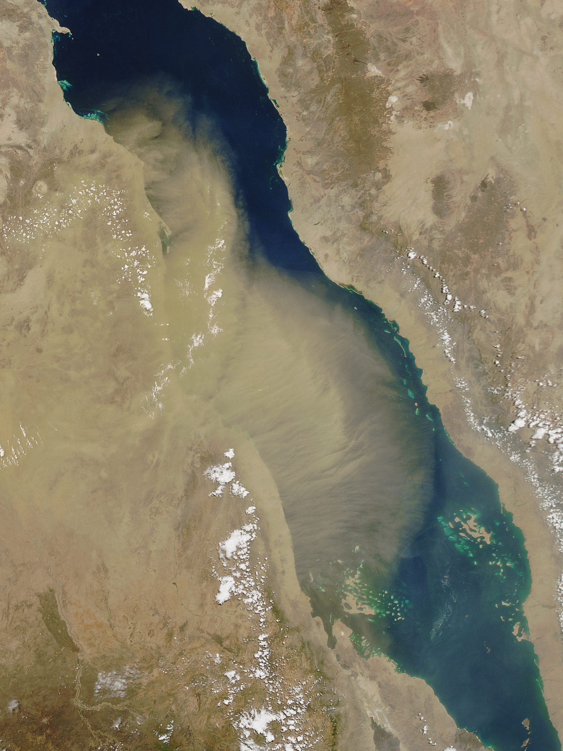 Mountain-gap winds blow dust into the Red Sea
