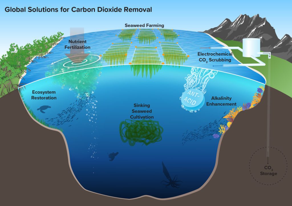 While ocean-based carbon dioxide removal can take a multitude of forms, there are at least six prominent methods (represented here) considered in the recently released NASEM report. (Illustration by Natalie Renier, © Woods Hole Oceanographic Institution)