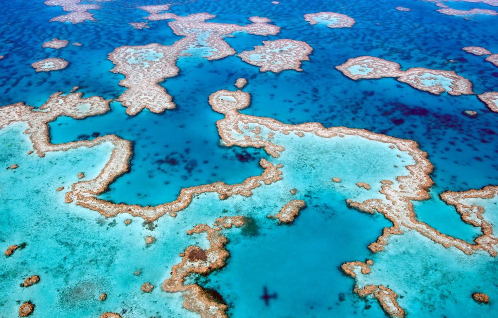 Great barrier reef queensland