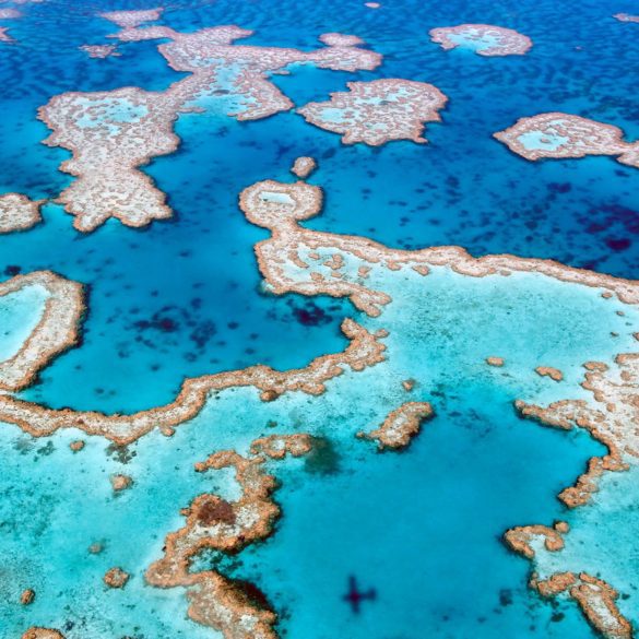 Great barrier reef queensland