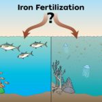 Iron fertilization illustration