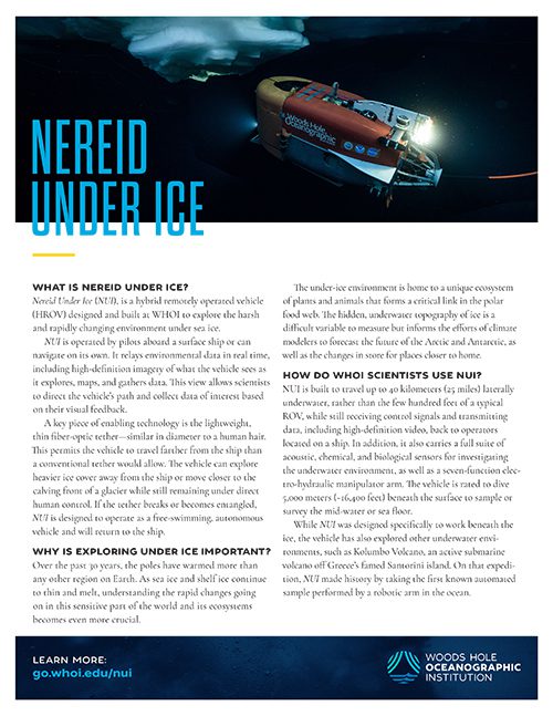 Neried Under Ice