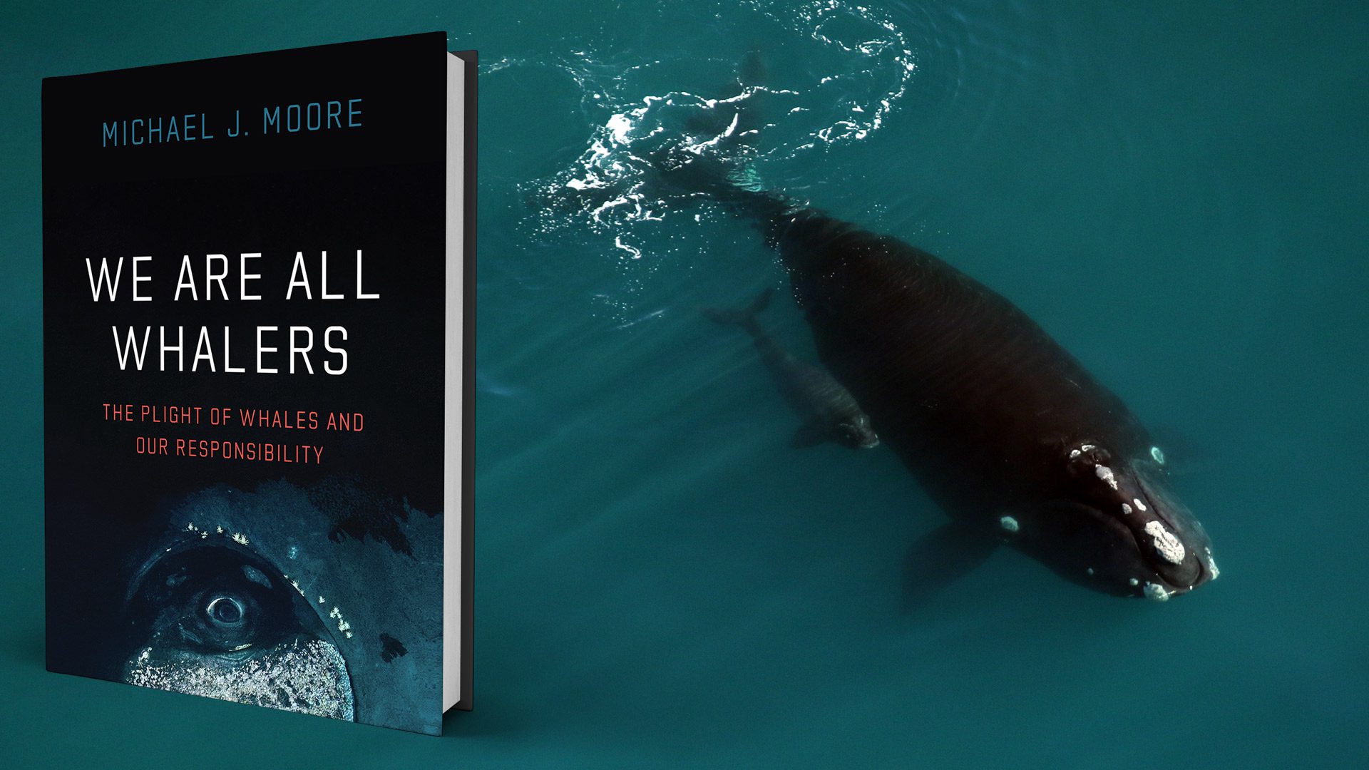 We-are-all-Whalers-Book