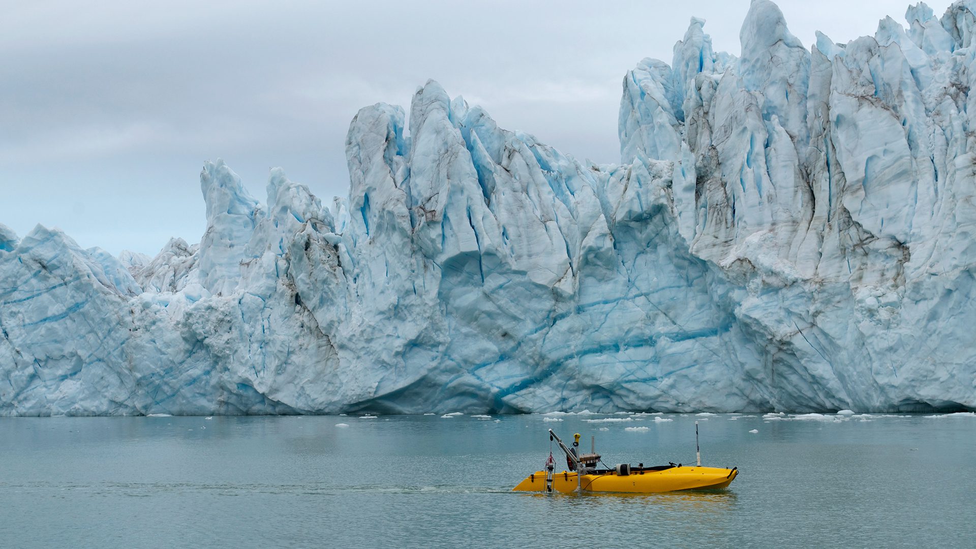 A yellow "JetYak" cruises close to West Greenlands Sarqardliup Glacier while keeping researchers out of harms way of its calving icebergs. WHOI engineer Hanumant Singh developed this autonomous surface vehicle (ASV) and, together with scientists Fiamma Straneo and Sarah Das, deployed the vehicle for field studies with support from the Arctic Research Initiative. They operated the JetYak by remote control aboard two small boats operated by local fishermen to map the glacier face using multibeam sonar, and gathered velocity, temperature and salinity data from the waters surrounding the glacier. (Photo courtesy of Fiamma Straneo,
© Woods Hole Oceanographic Institution)
