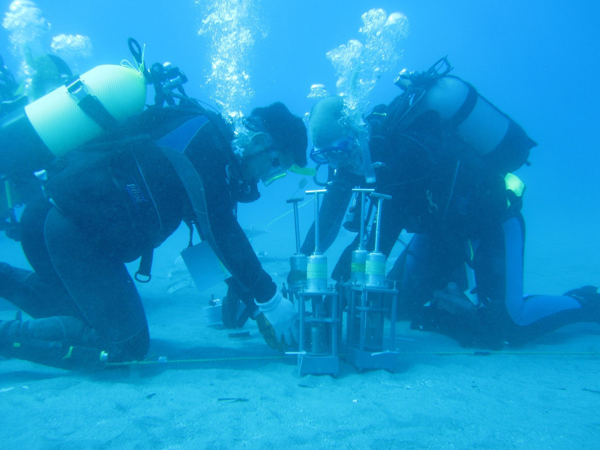 Fluid Flow Stimulates Chemosynthesis in a Greek Salad of Hydrothermal Microbes