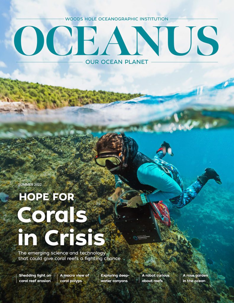 Hope for Corals in Crisis
