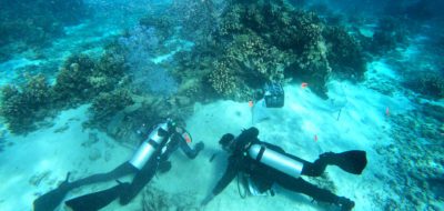divers