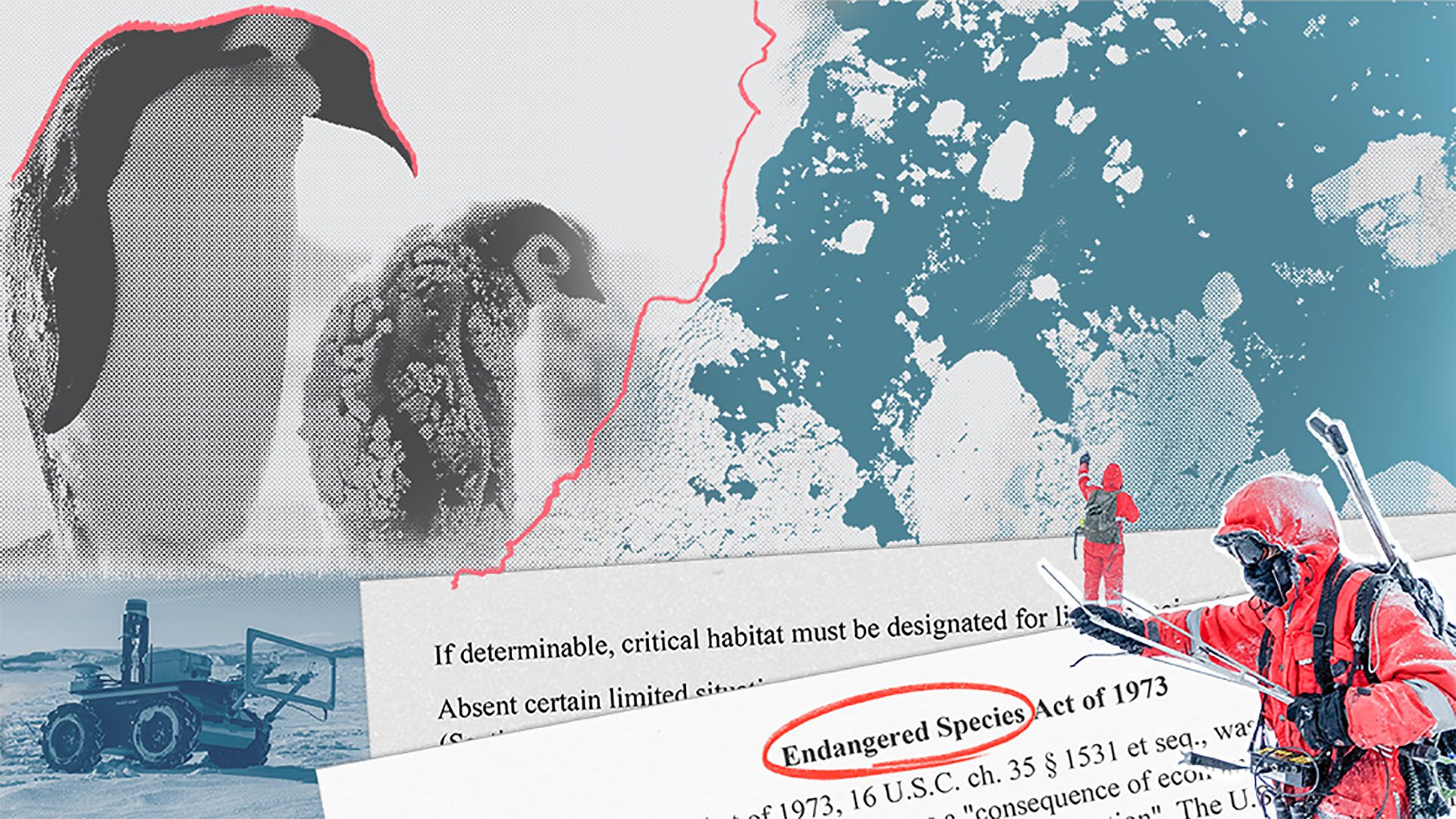 Lead Image Emperor Penguin