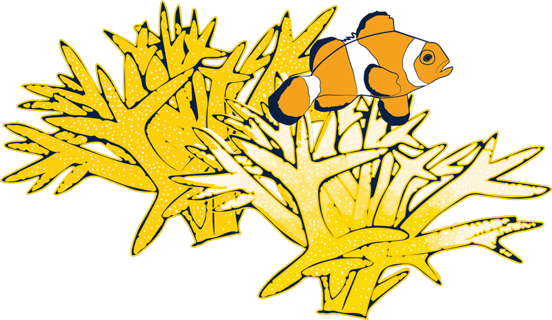 stag coral and clownfish