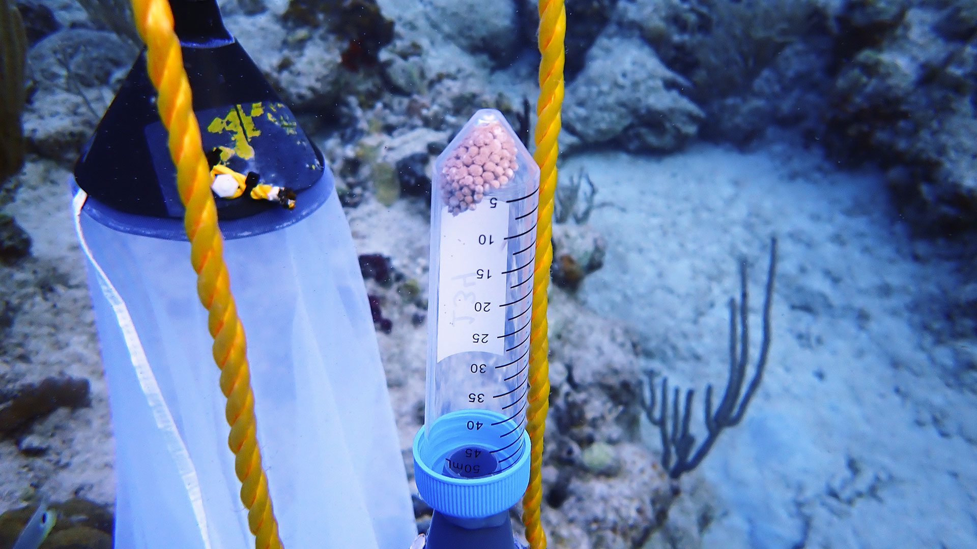 underwater measuring