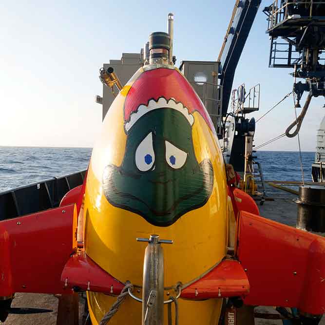 AUV Sentry decorated as the Christmas Grinch on deck. Photo Ken Kostel © WHOI.