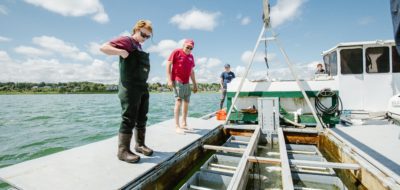 Shellfish farming