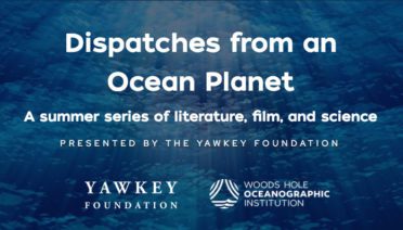 Yawkey Series