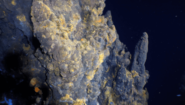 A new hydrothermal vent was dscovered in 2021 by a collaborative WHOI co-led team. Sulfide structures at the YBW-Sentry vent field have yellow iron staining, and host white Bythograeid crabs. Image credit: Woods Hole Oceanographic Institution, National Deep Submergence Facility, remotely operated vehicle Jason team, WHOI-MISO Facility, National Science Foundation.