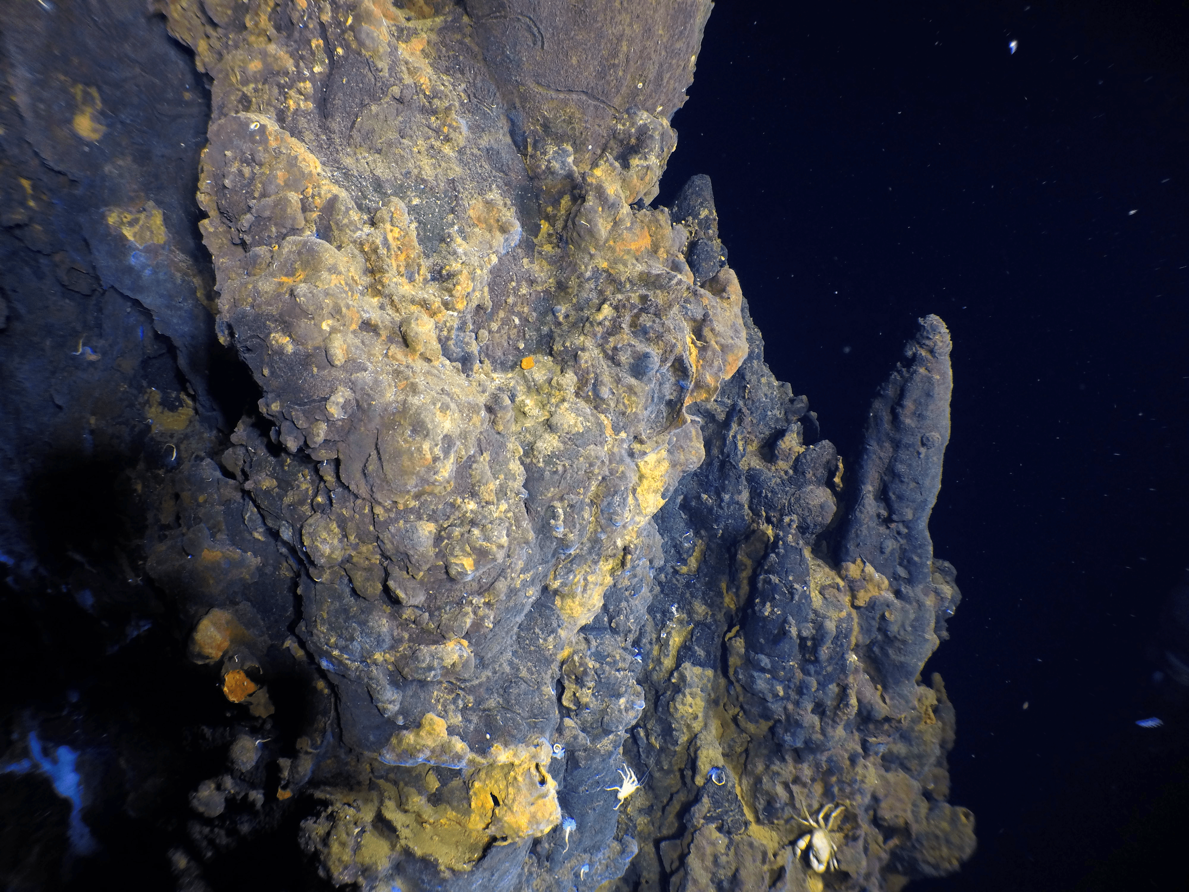 Тихий океан ученые. Тихий океан гидротермальные источники. Подводный вулкан Марсили, Италия. Гидротермальные источники черные курильщики. Подводные курильщики Тихого океана.