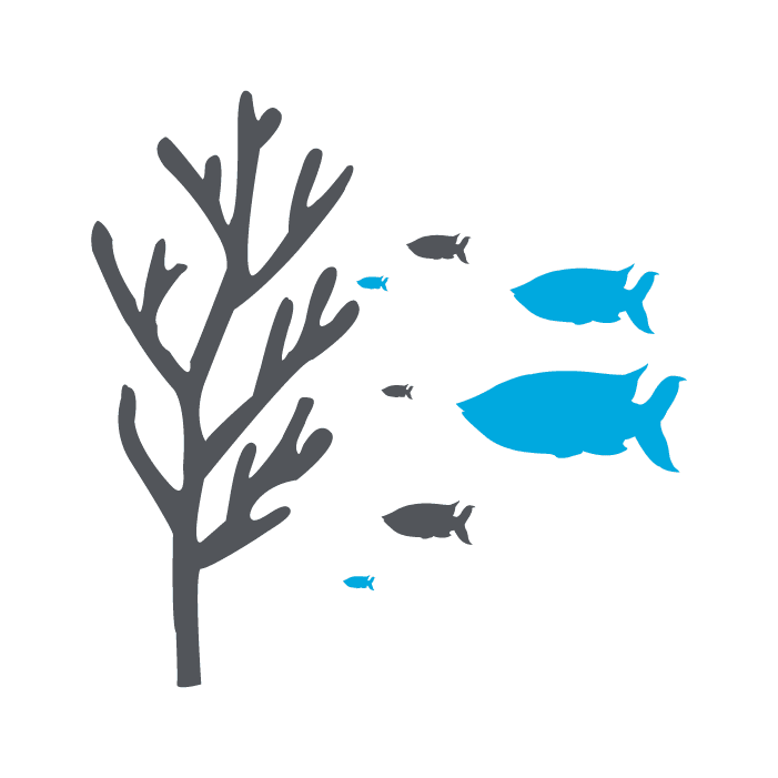 Coral Reefs