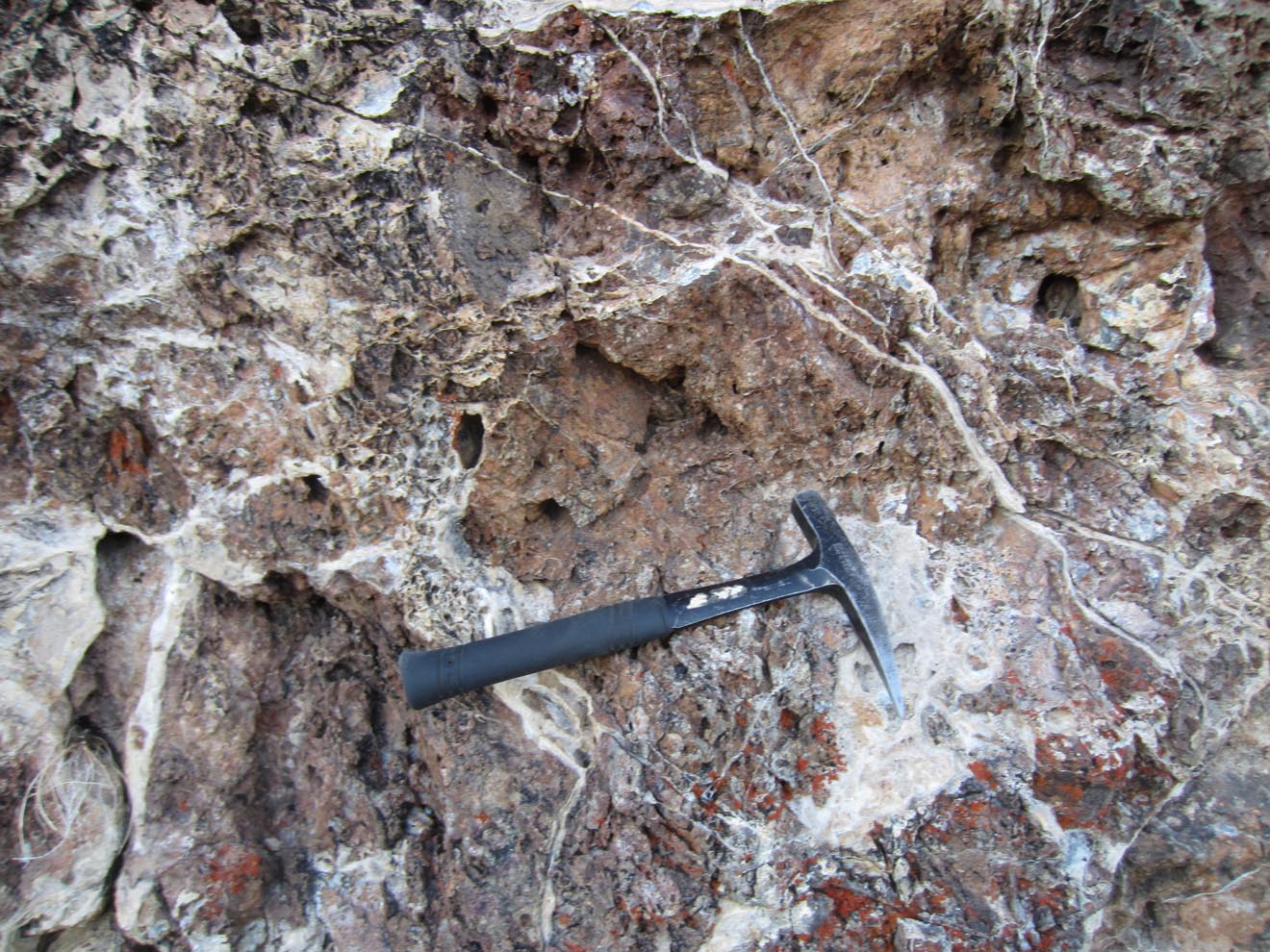Outcrop of carbonate-altered mantle rock in the San Andreas Fault area. A recent study shows that carbon sequestration in mantle rocks may prevent large earthquakes in parts of the San Andreas Fault. (Photo by Frieder Klein, © Woods Hole Oceanographic Institution)