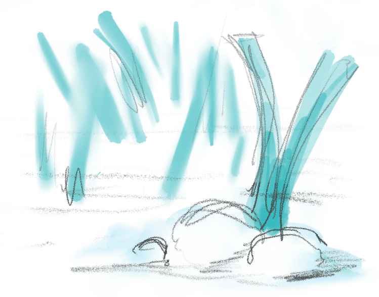 CRE03746_RiverMarsh_BG_articleSeagrass_EvanLubofsky
